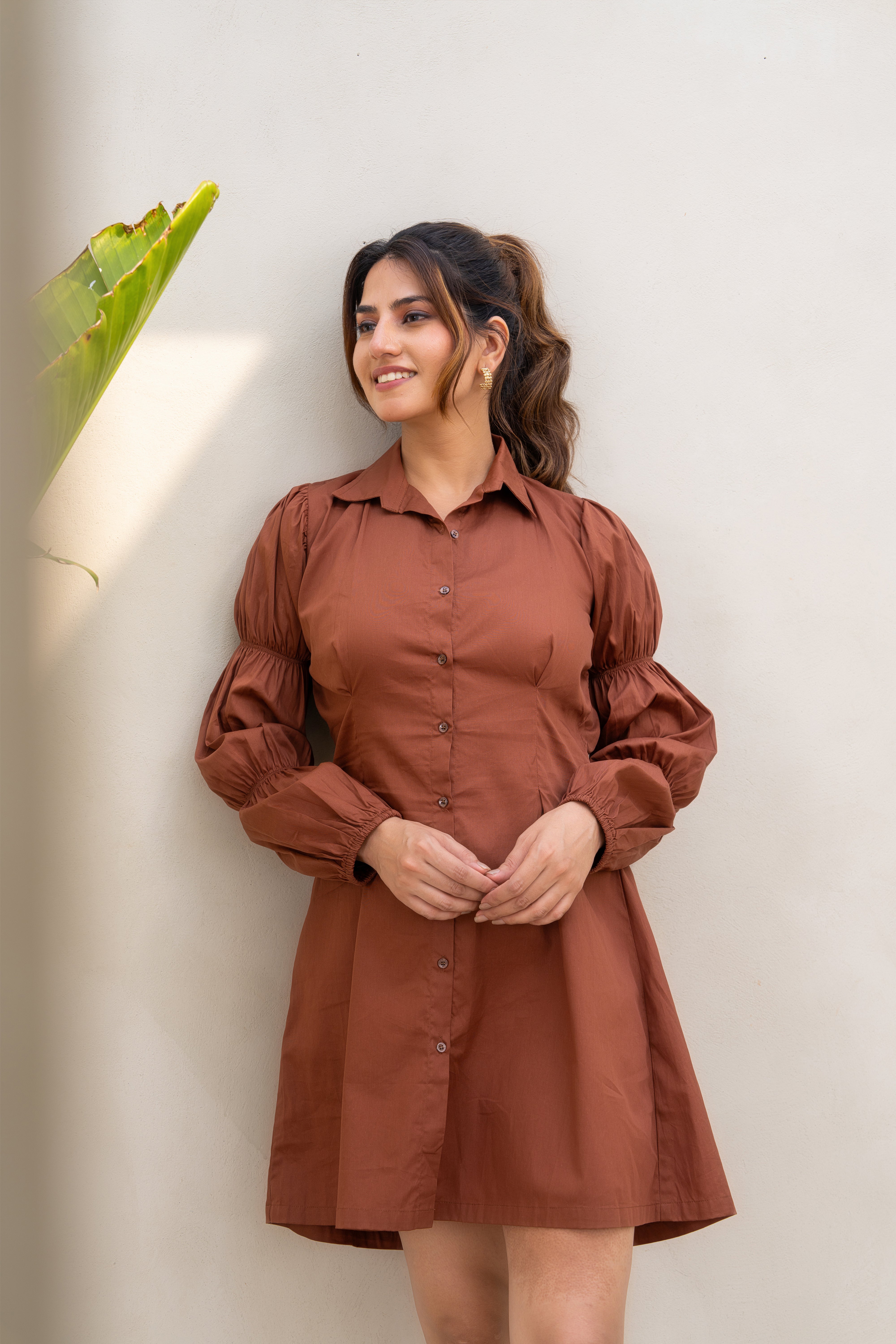 Drama in Brown Dress